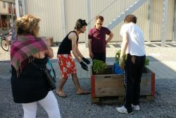 Arbeitsgruppe draußen